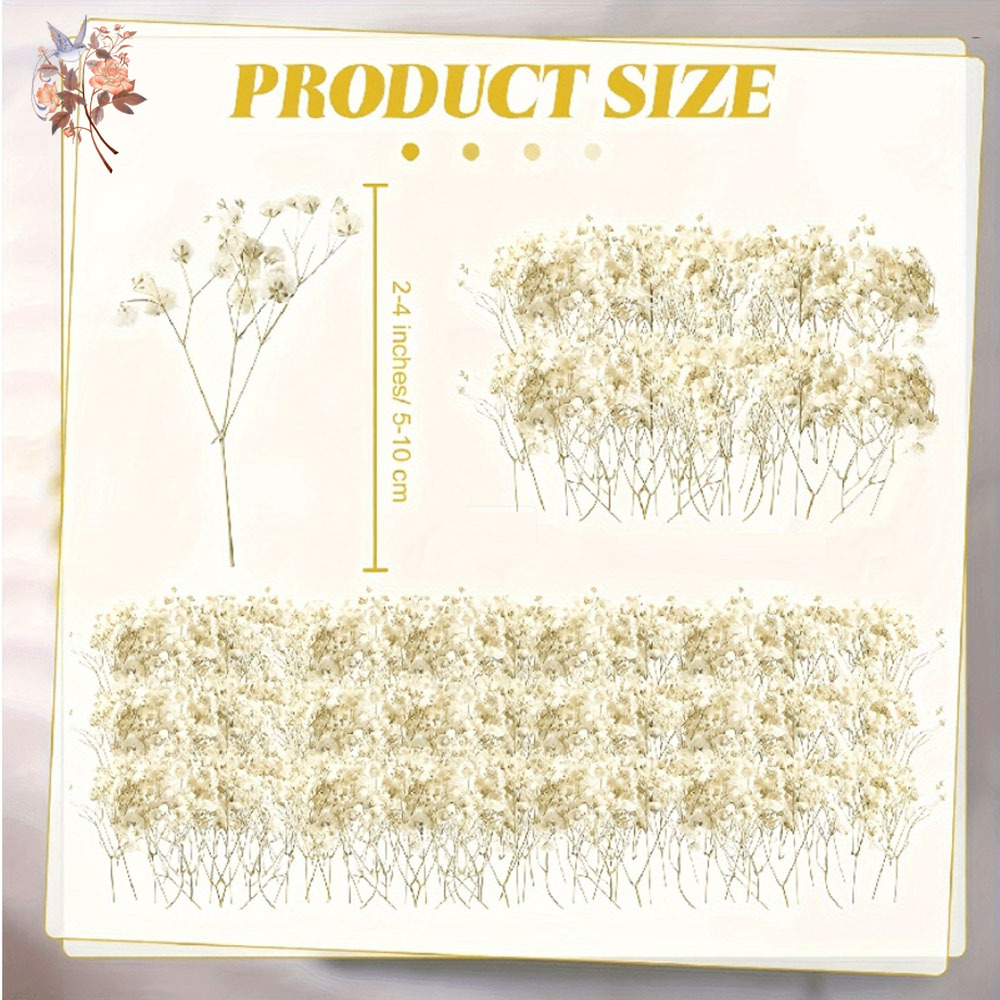 Mini flor de gypsophila seca,  - Candle Making Los Angeles avaliação e preço