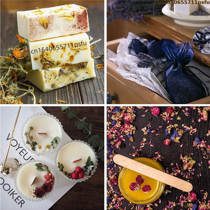 4 tipos de botões de rosa natu - Candle Making Los Angeles avaliação e preço